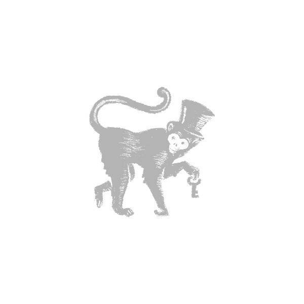 Slika izdelka v pričakovanju